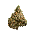 Pineapple Express Flower - Image 2