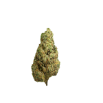 Rollins Flower - Image 2