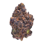 Gas Station Candy Flower - Image 2