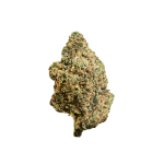 Lemon Bean Flower - Image 2